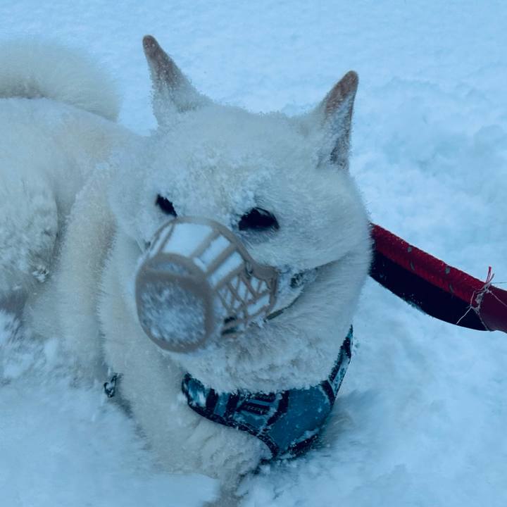 66869410 b92a 4ea6 b356 3aa9bacc33e2 1735339571306