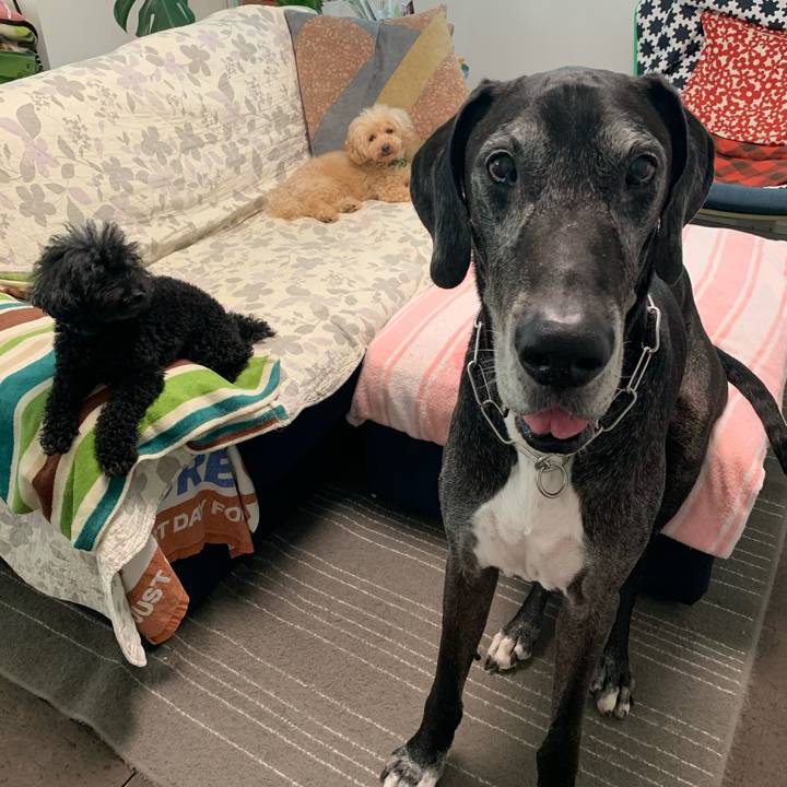 6686bea6 cfd1 4074 8771 735bcbb86a76 1596580779522