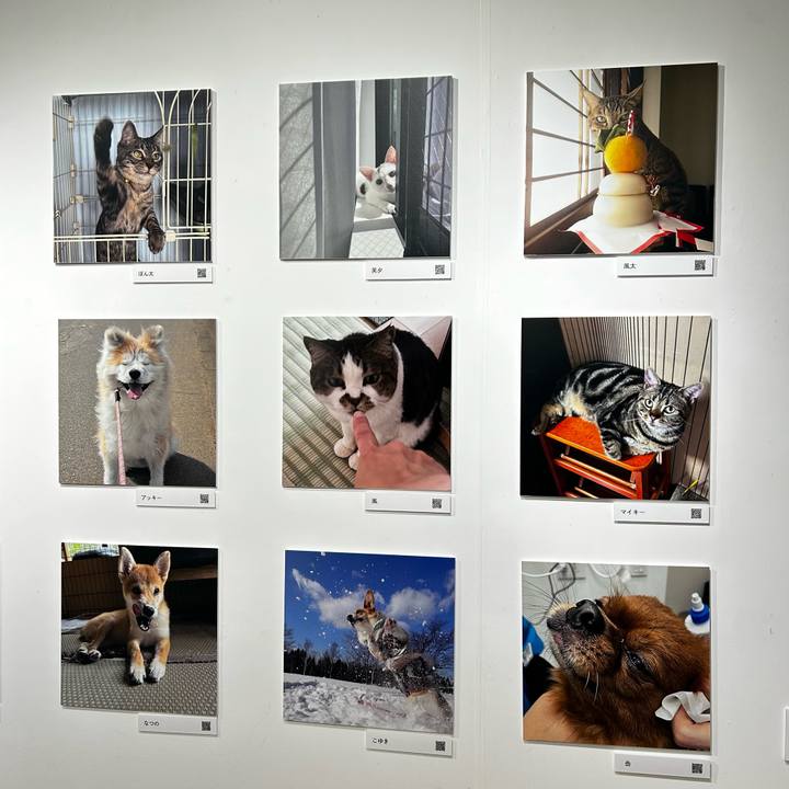 6686c6c4 829b 4629 a409 078a6920c8f4 1762060285235