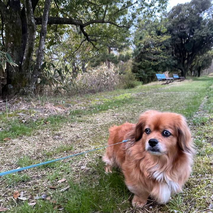 6686d278 c063 4ee2 b740 511f74d7cc5f 1712869078961