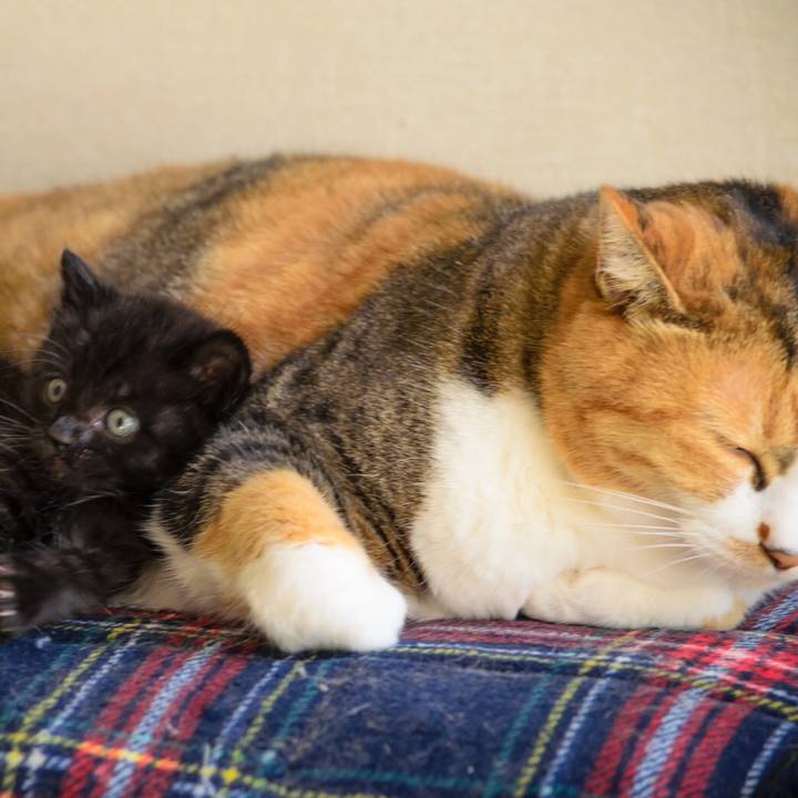 66871f3b dfc2 4c0f b6fa b0d1e3784303 1510670383851