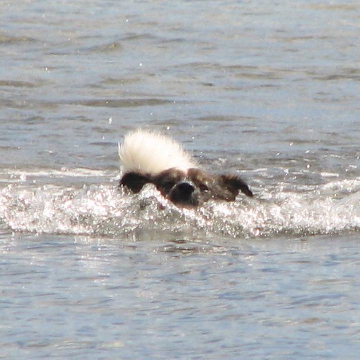 66873ed8 e426 439e a77c ee08af4ff550 1692888400292