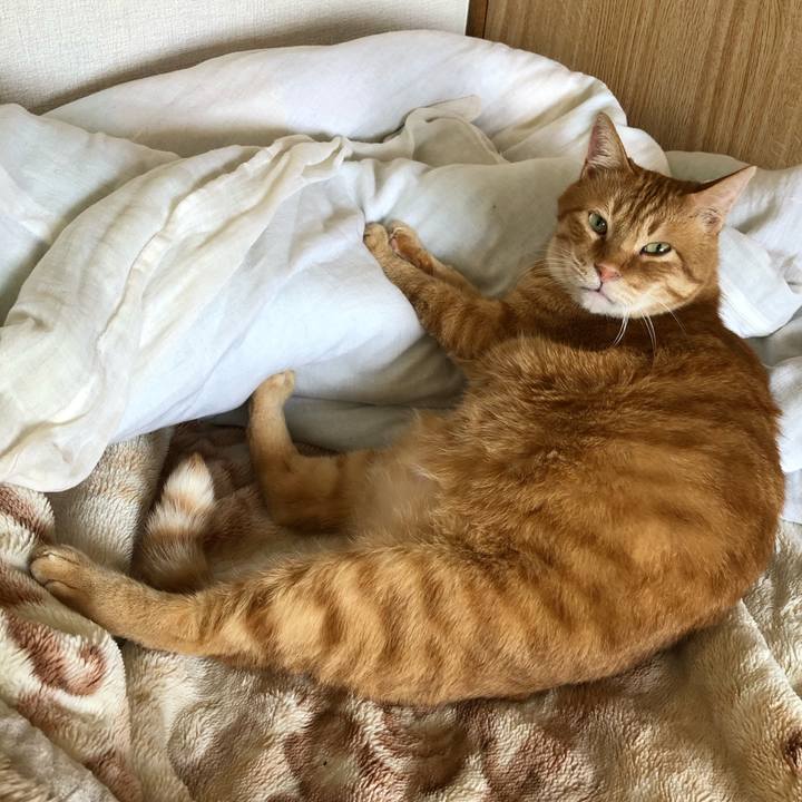 6687496e 11e3 48a8 be5a 48aed52e852c 1591223785538