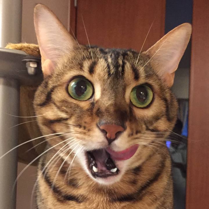 668796fd c268 4e3a b61f fdab1fe23a55 1540421969191