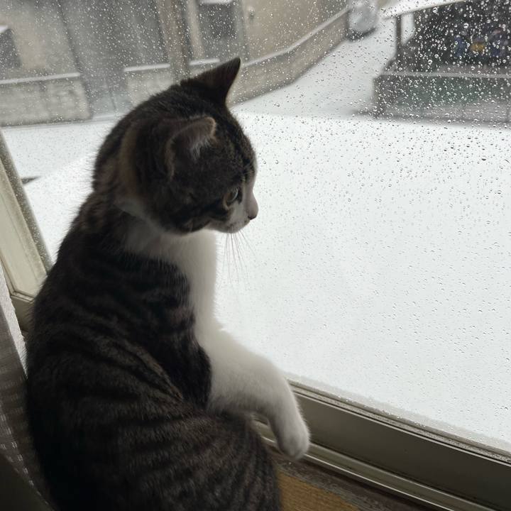 6687ac35 939d 47d5 a525 6af584dee809 1770531536385