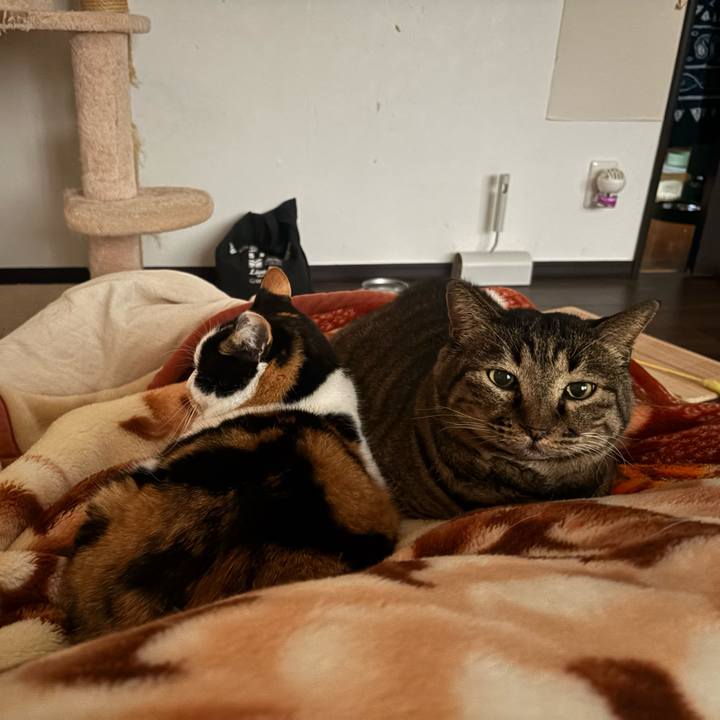 6687d8a2 c4c3 49f0 a723 fdf3d4b2aab3 1767797579489