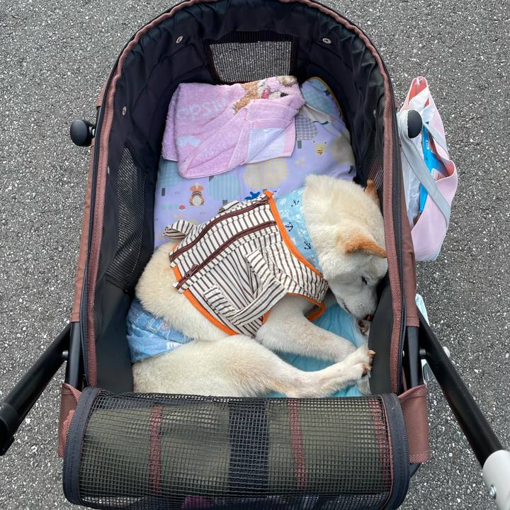 6687db70 b05b 4a83 8189 7d18c4940c18 1658066871062