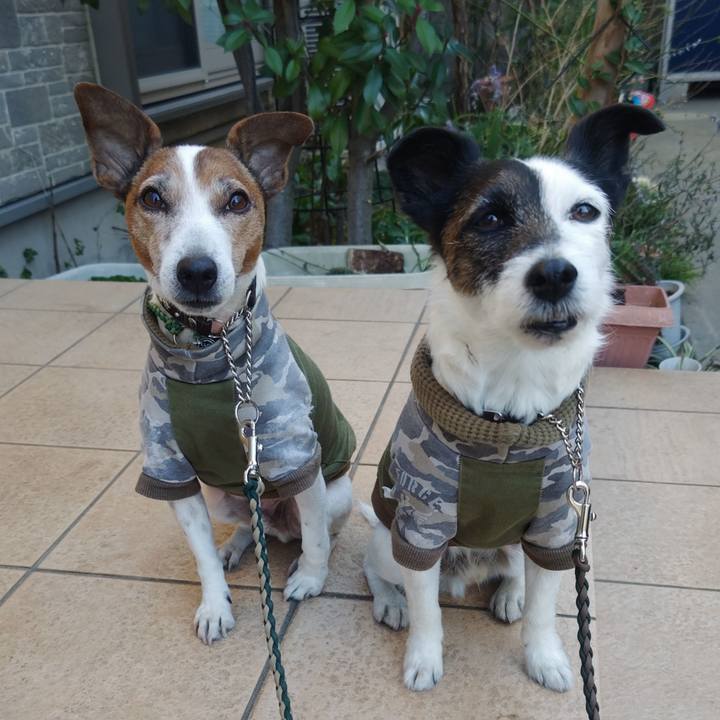 6687e972 0c37 45a4 9510 444aa6e6e14c 1770179400262