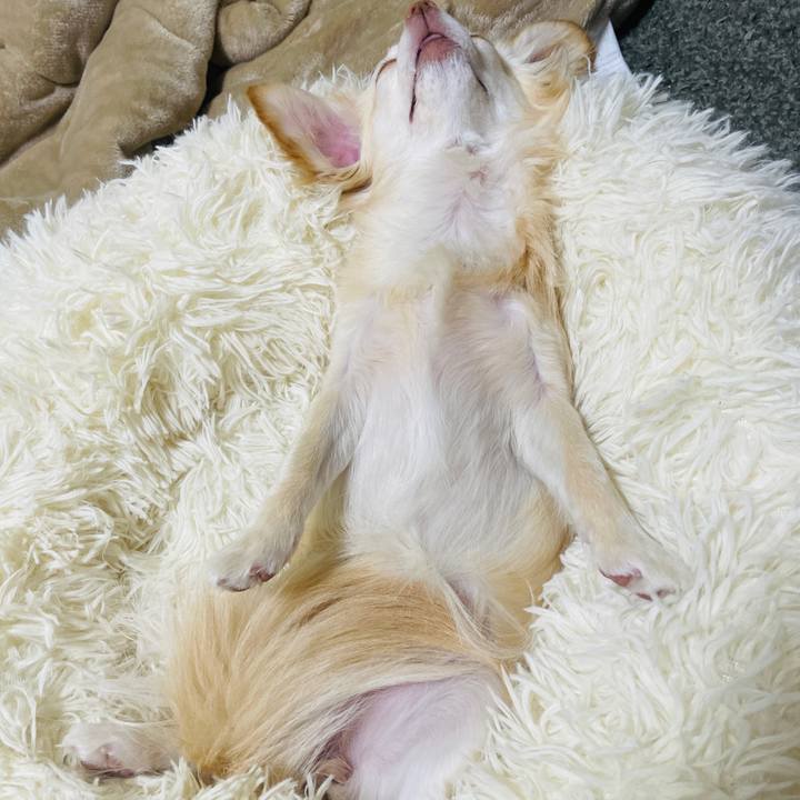 6687eb34 0444 4fbf 9d9b 5b27ad758e26 1678700707913