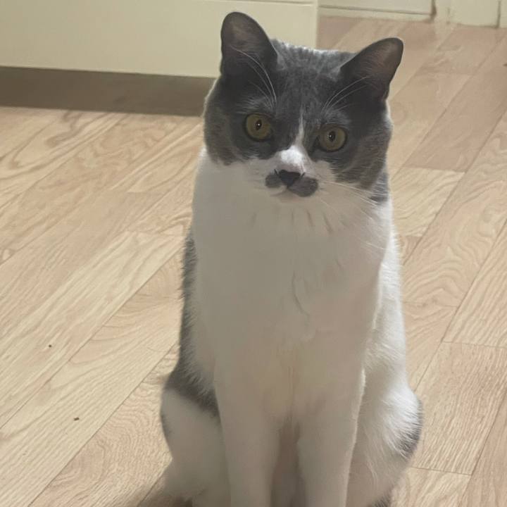 6687ee7a 4fc7 4d29 9385 3ab0d60f23cb 1624342564994