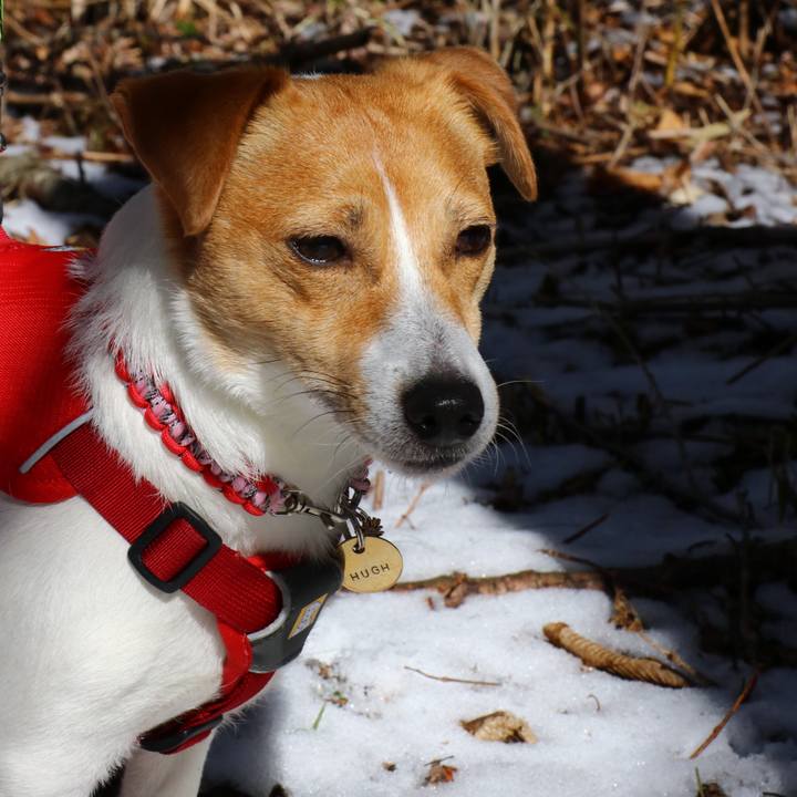 668848b3 3c64 4f71 8909 cd130241f5d1 1552126145290