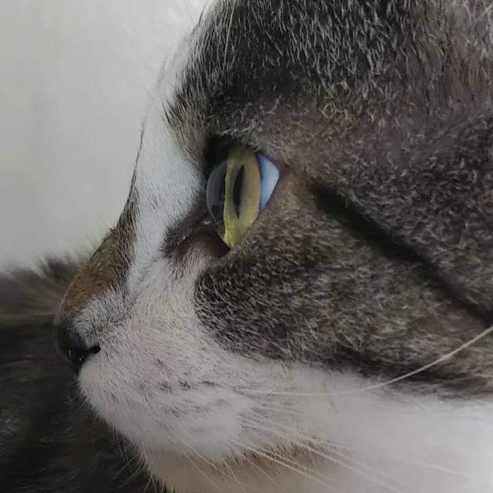 66885c93 8167 4f70 9cc4 529a4bfdb059 1610554531432