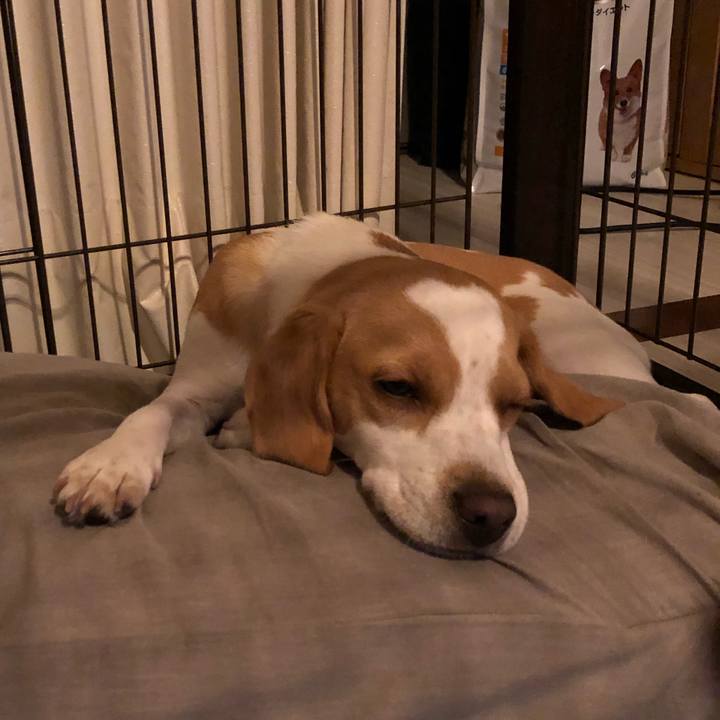 66886e32 0641 46c7 8ba6 16d2f80fa852 1561979377604