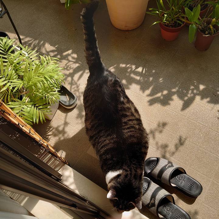 668876f4 dd5c 403f bd7a 346c91a26462 1597272479053