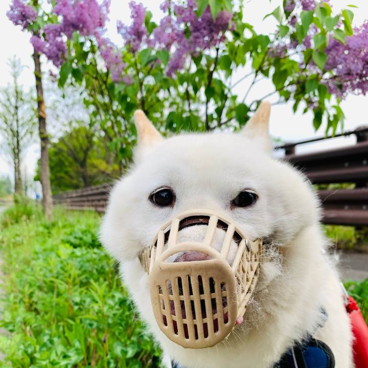 66887f97 b9a6 4ab2 b6cc 93b77aa949b1 1652994877856