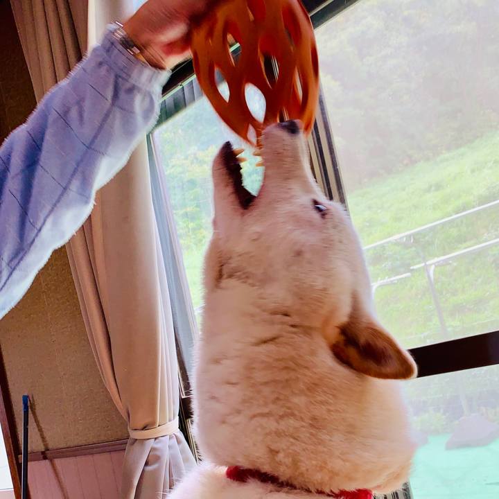 6688a5a2 883f 49c1 8d8e 755e64290ed7 1568535545539