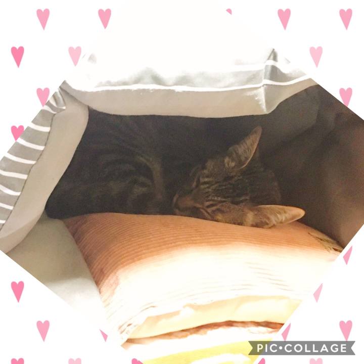 6688fb0e 3d0e 4179 ad4d 345022290b40 1541498675625