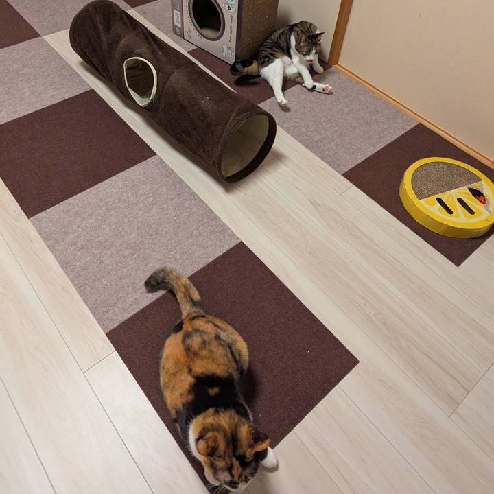 668904b5 f99d 4014 9200 a6209864382f 1773190507290