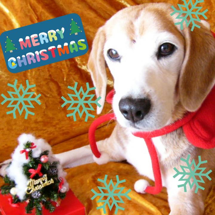 66890e37 2c75 4768 90ee a38ce576d0ed 1671931789666