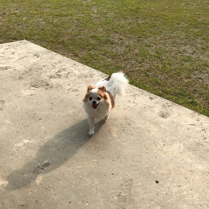 6689441a 8a84 4232 8ee4 704b0a8925bc 1566003464963