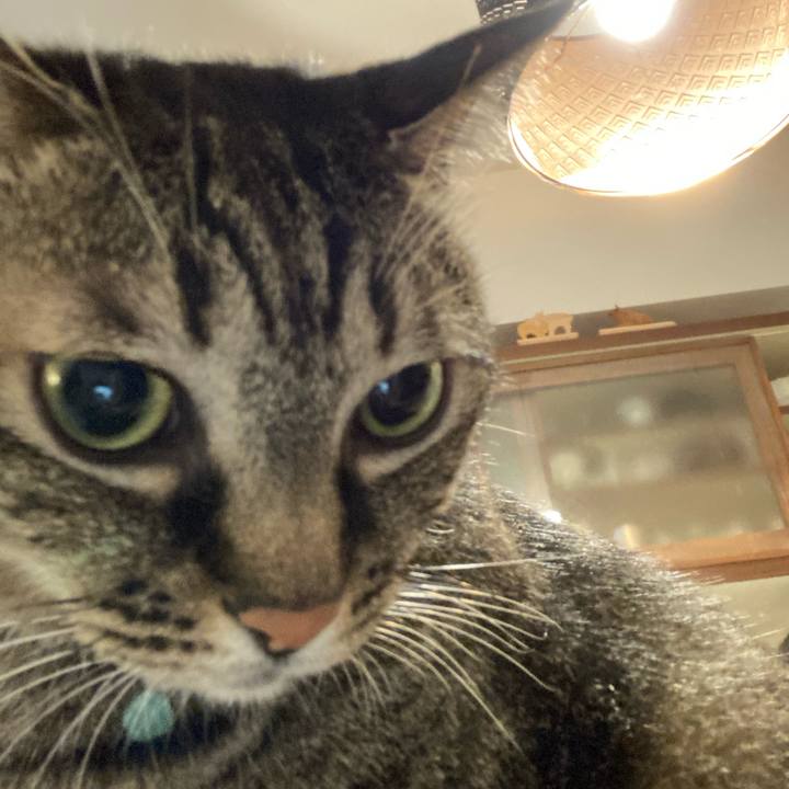 668956a3 04c7 4771 a898 054d4d5c3cd8 1628939979747