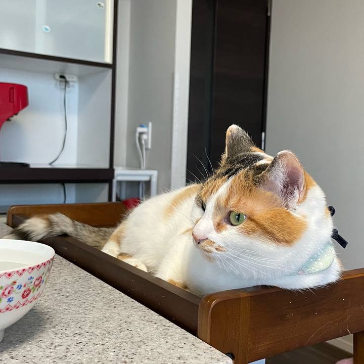 66896a4a 69e0 4b96 bc58 87c688722efe 1672026139542