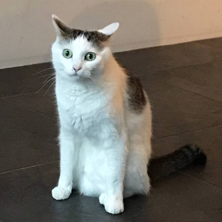 66897ab1 1d83 4028 8e93 f0e8ff3e71c0 1563895505765