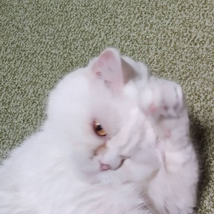 66898b63 8e57 41c1 b587 412c67579849 1698496817591