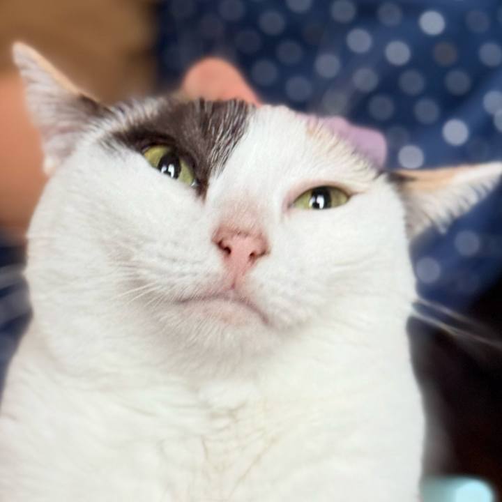 6689afa1 e590 4b61 8052 4883a2c0af0d 1730164430409