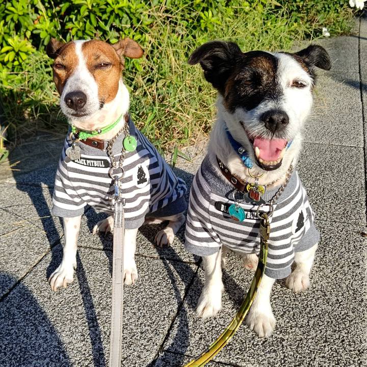 668a1702 5e8e 45ce 9752 d6b8cf5a3994 1662933472808