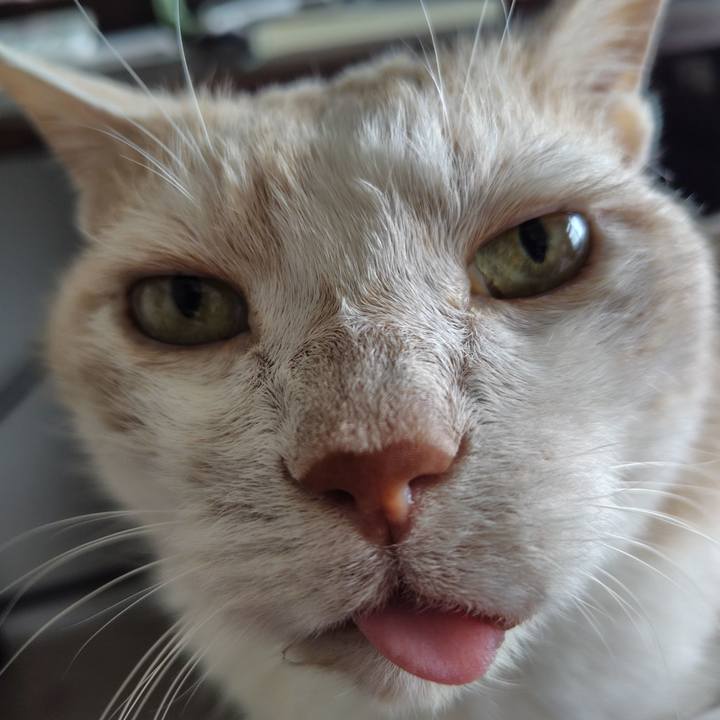 668a1b88 e619 4e2d b891 8352397919ea 1717056782043