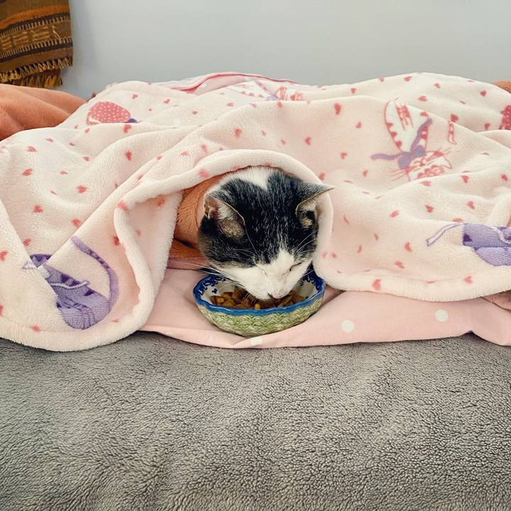 668a26b2 0c1b 498a 9564 2e03cd01362f 1608247241251