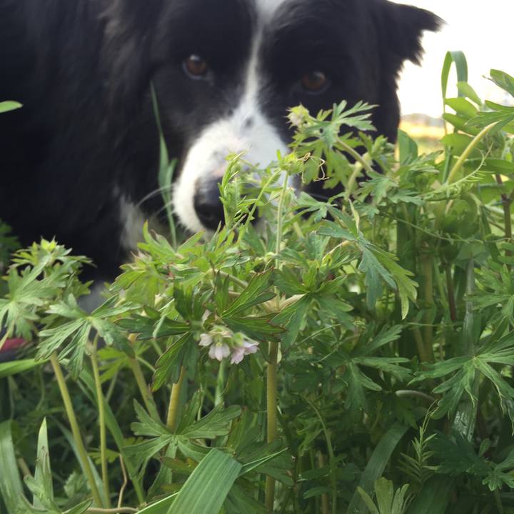 668a55b0 4d00 478a 8e52 6f9a9ab5032c 1552004652732