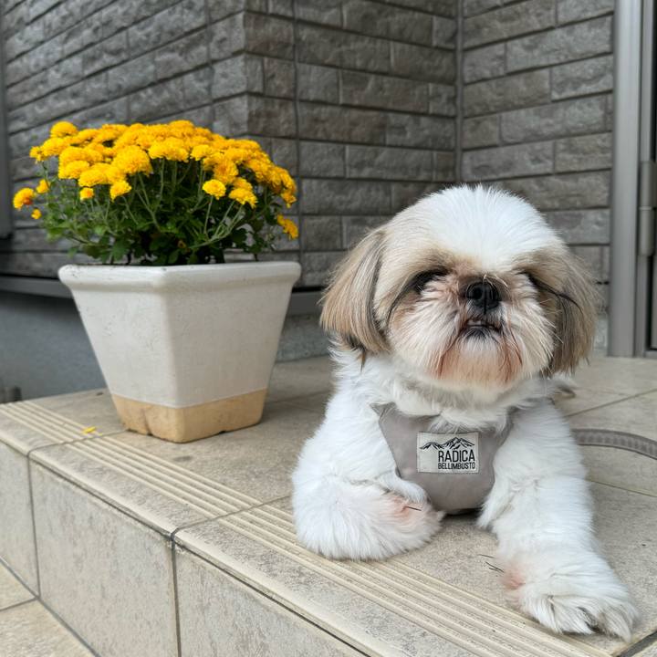 668ab20f 565e 4de8 8f24 34549195d95c 1730030488469