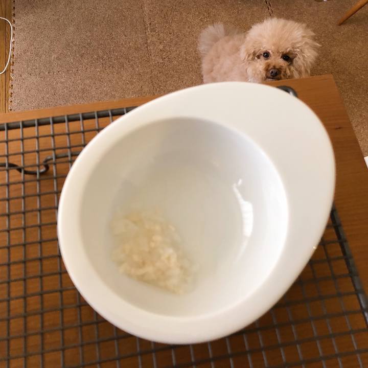 668accdf 8959 4e37 96e6 0fc16e9c3c2a 1529129176331