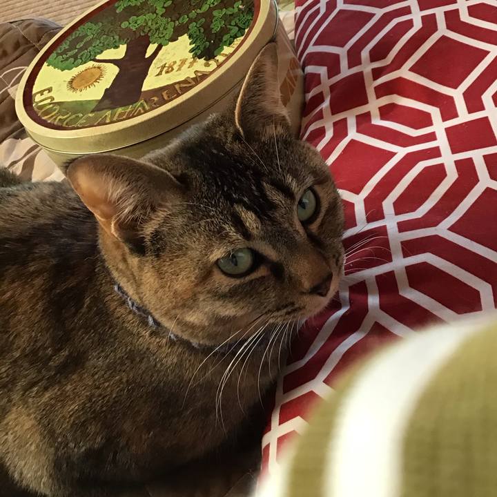 668ad749 e46e 4dce 95ad c8b5a81f3f9f 1616798669269