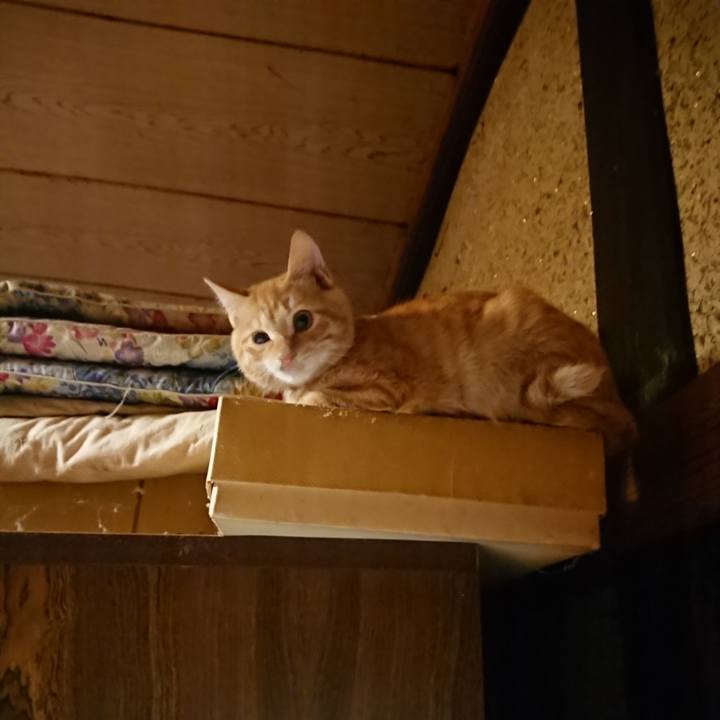 668b163c 004e 49b9 920c ddd5d80eefdb 1634301249013