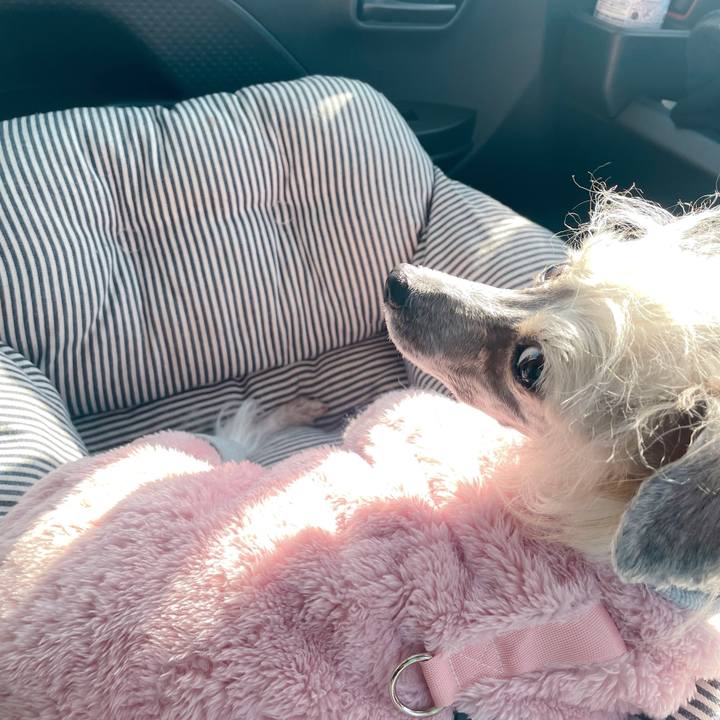 668b1763 3ffc 40e8 b395 e9e67998618c 1769596462826