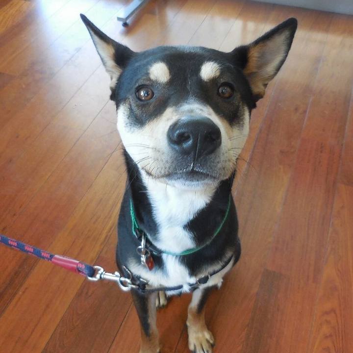 668b82eb affc 489f 8f35 2b40869e3476 1510360681920