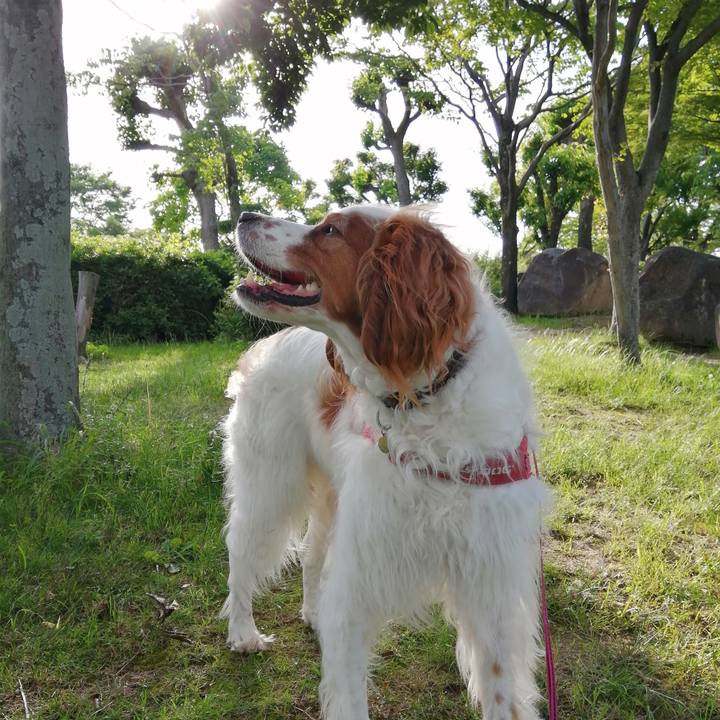 668b8643 8b73 4348 854b fe7f6e9ca340 1621940985355