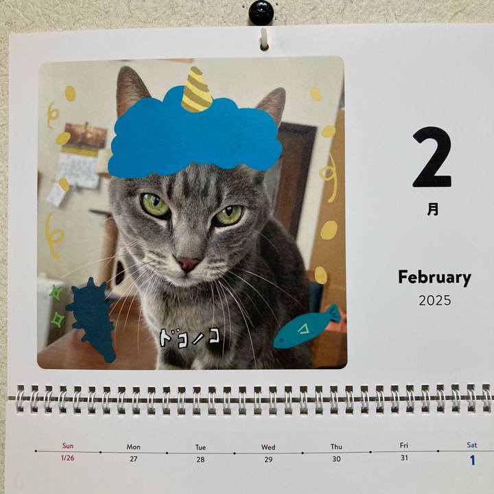 668ba0fb 7716 4cf0 8f1f 67b5eca1ecca 1738409991207