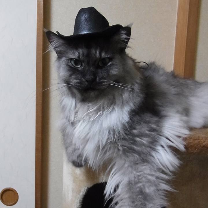 668baf4f b9af 4b6f 986b 3d7f1e3decf0 1550800120997