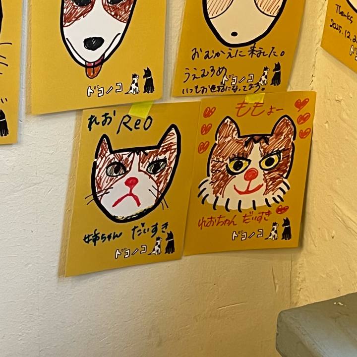 668c2558 9180 4b39 a362 18458c92db4c 1766298367619