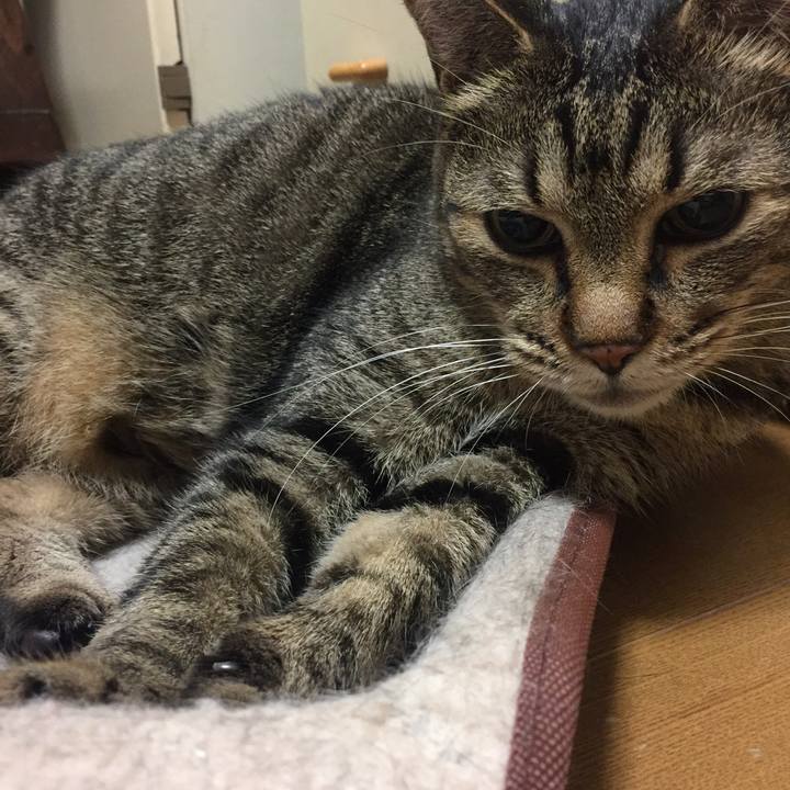 668c28b7 075b 4195 8a0a 3d958db859b9 1527000982773