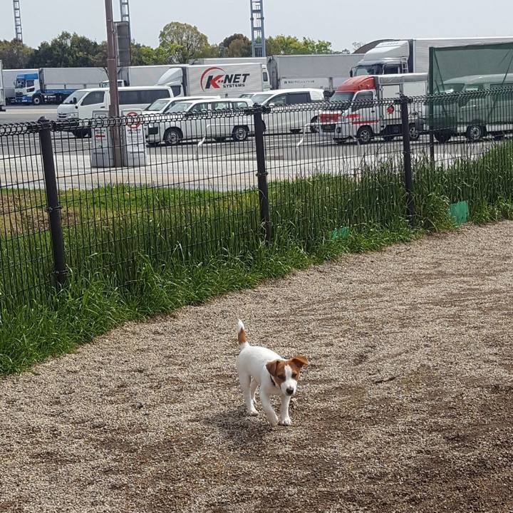 668c74bc ab9a 4fdb 971f 61f51792b407 1555588217951