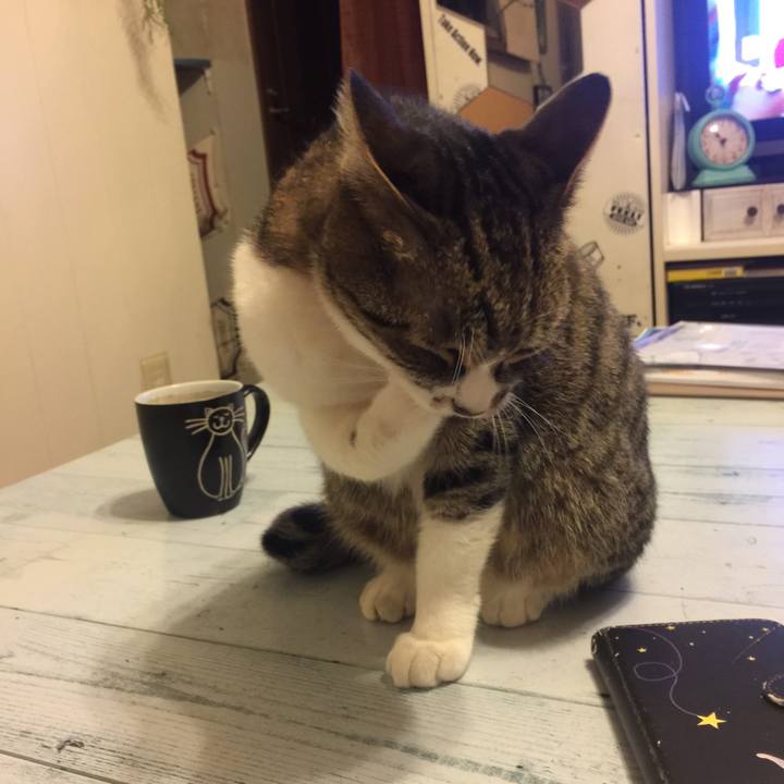 668c98be 183b 4488 a244 711c474c6359 1562595435905