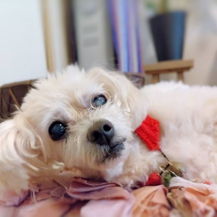 668cbe12 1373 4803 a760 786622015b98 1692867996269