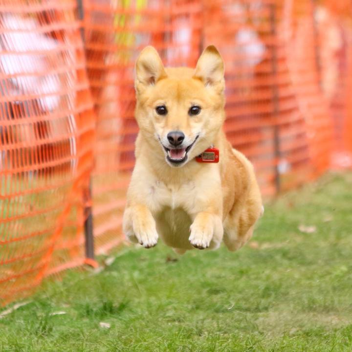 668cc4fd 58c0 4792 8f6f 2f609ffa767d 1560215448888