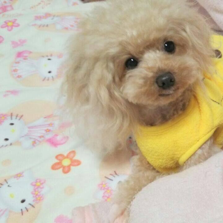 668d024b 51ee 4766 9be6 88e76410c0df 1542806260449