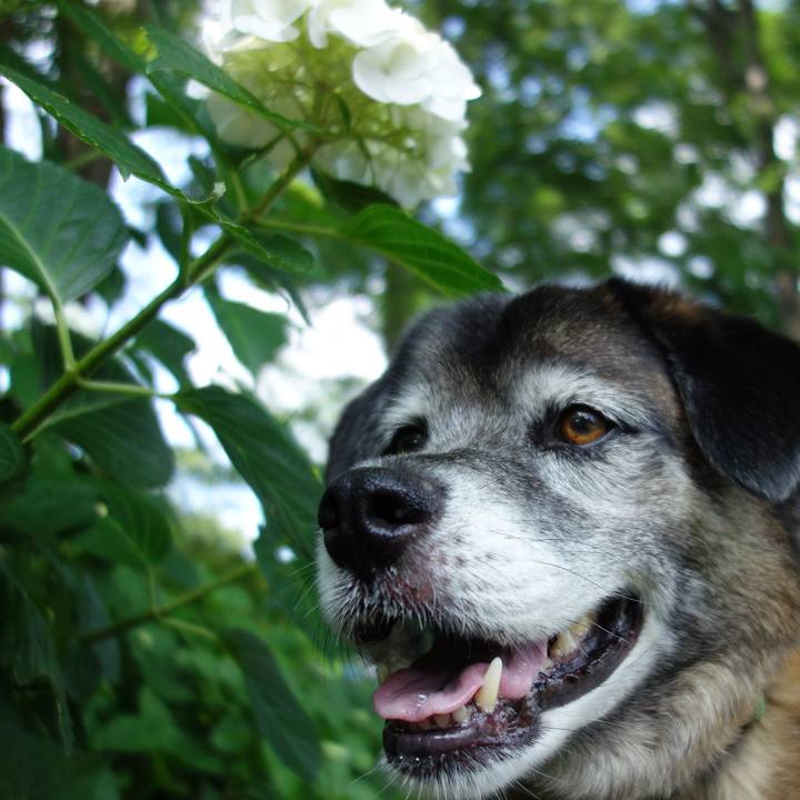 668d2ff9 2e4e 4a84 be34 20db827a27a9 1639961404743